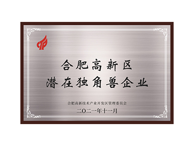 Потенциальные компании-единороги в зоне высоких технологий Хэфэй