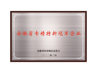 Специализированное и новое предприятие-чемпион провинции Аньхой