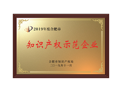 Демонстрационное предприятие интеллектуальной собственности